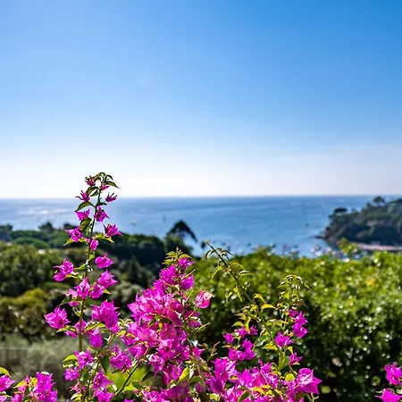 Villa Cristina Luxury In Rapallo